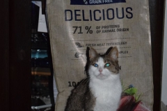 Markétka s dárkem.