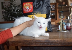 Sněhurka s dárkem.