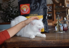 Sněhurka s dárkem.