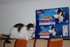 Kaštanka s dárkem.