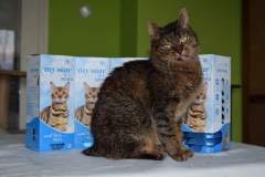 Pusinka za Aničku s dárkem.