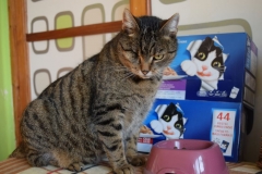 Rej za Toničku s dárkem.