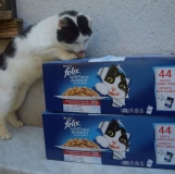 Čudlík  s dárkem.