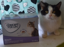 Kopretinka s dárkem.