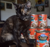 Kryšpínka s dárkem.